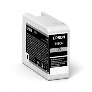 Epson T46S7 G Original bläckpatron (25 ml)