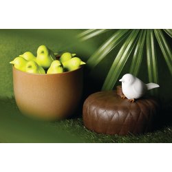 Qualy Acorntainer, brun