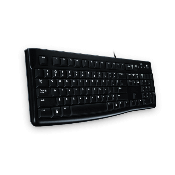 Logitech K120 Business Keyboard, Black (US/INT)