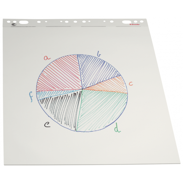 Esselte Flipoverblock 59 x 83 cm - 50 ark (5 block)