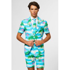 OppoSuits - Sommar Flaminguy