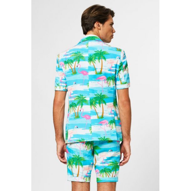 OppoSuits - Sommar Flaminguy