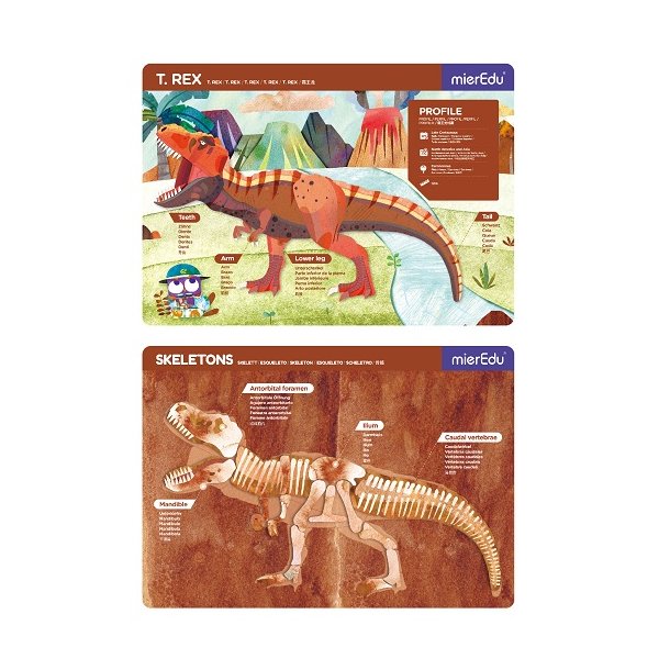 mierEdu Magnetisk legetavle - T-Rex