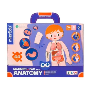 mierEdu Magnetisk leketavle - Min kropp