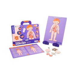 mierEdu Magnetisk legetavle - Min krop