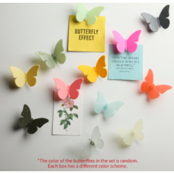 Qualy Butterfly Magnet, Mix