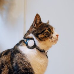 Lippa katthalsband fr AirTag och Smart Finder, 2232 cm, svart