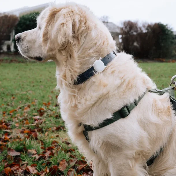 Lippa halsbandshllare fr AirTag och Smart Finder, svart