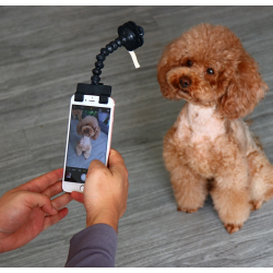 Selfie stick til kledyr