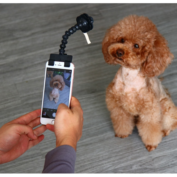 Selfie stick til kledyr