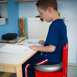 Siddepude, dia. 34 cm - 2 pak, bl/bl