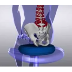 Siddepude, dia. 34 cm -2 pak, sort/bl